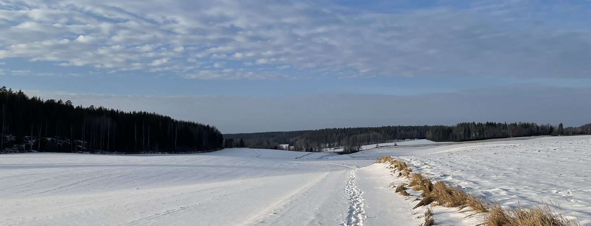Matkalla bloggaamisen maailmaan