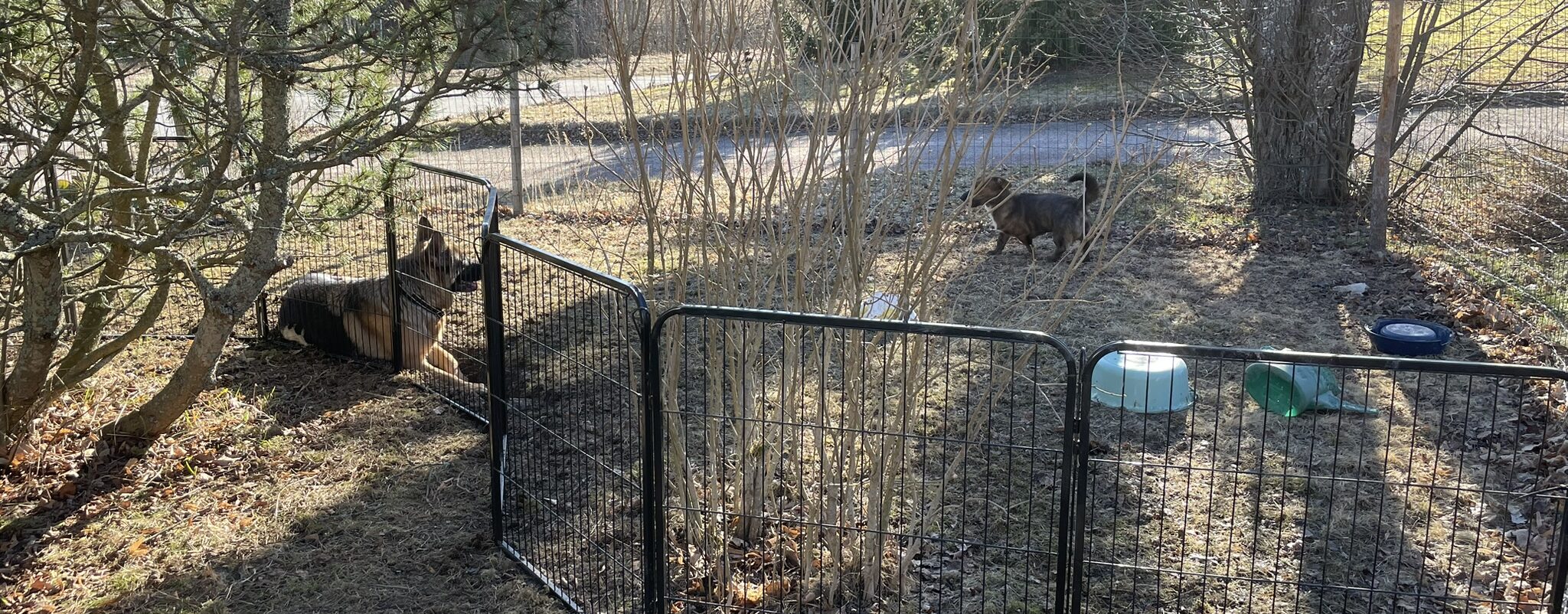 Kevät tuli, ja kura – eläinperhe edition
