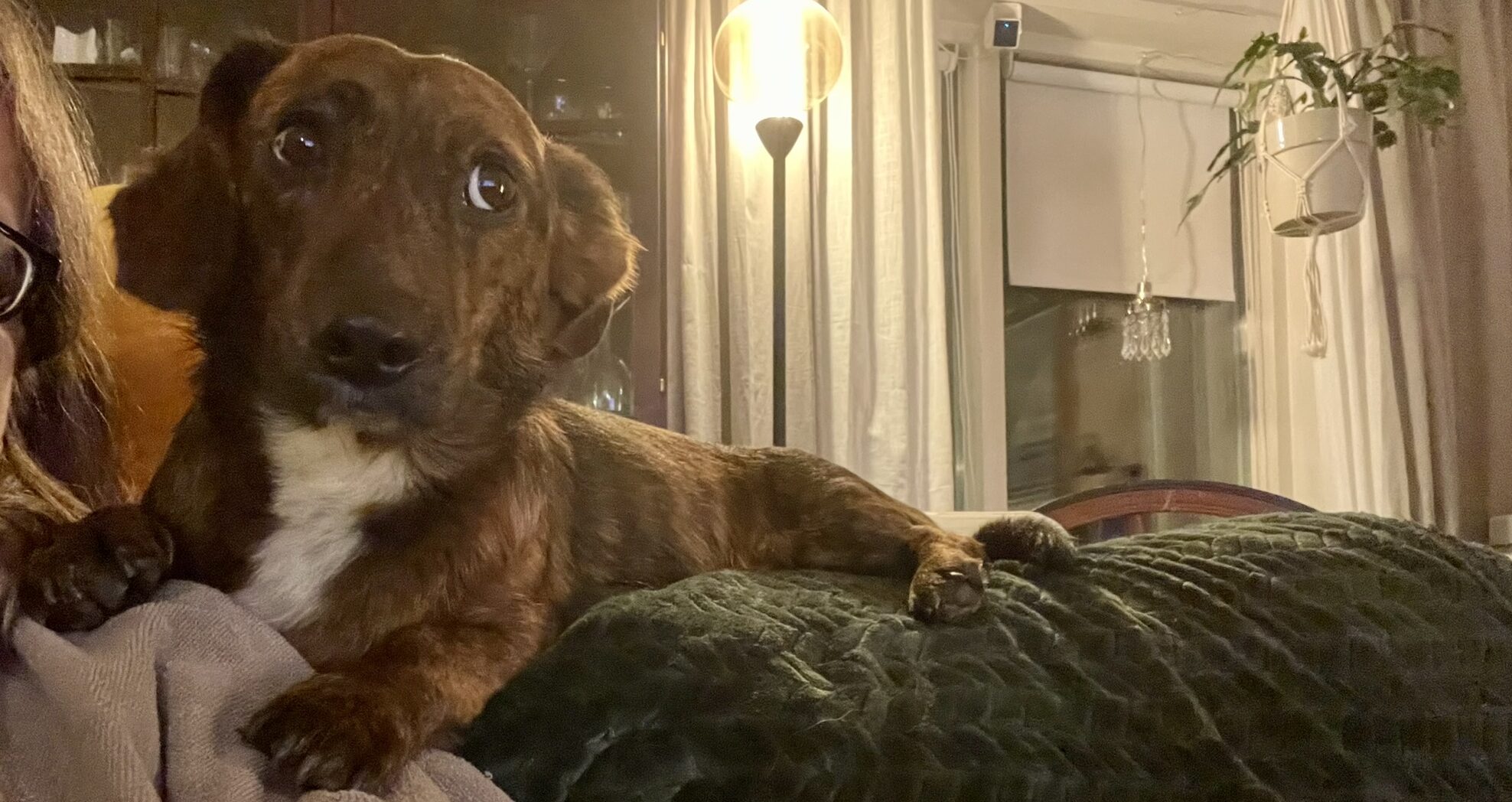 Pöksypojan kastraatio – pohdintaa, tunteita ja faktaa