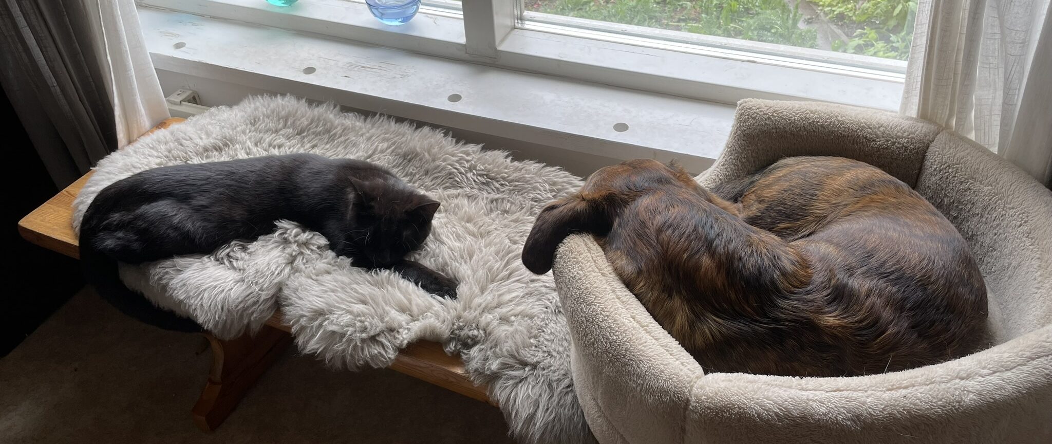 Ei hoppu hyväksi, eikä kiire kunniaksi