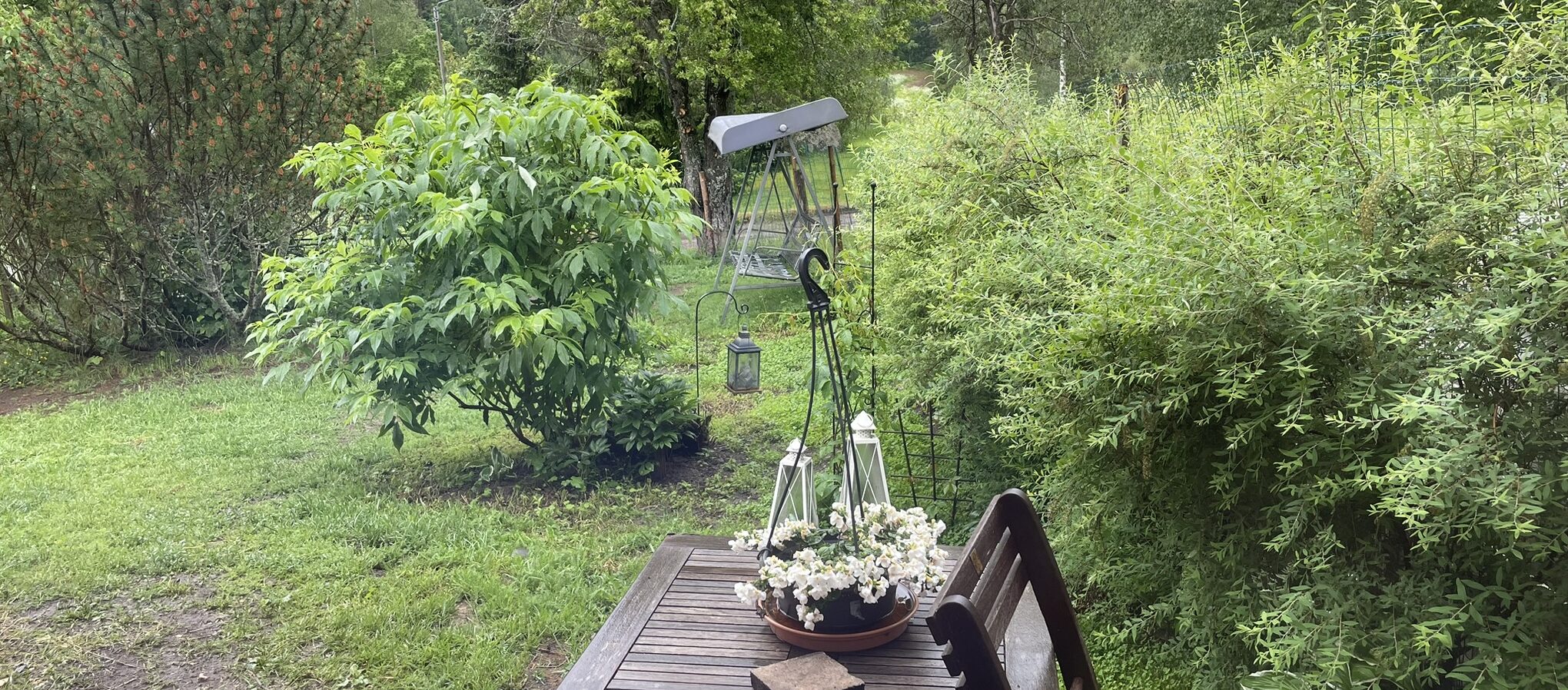 Keskikesä, juhannus, soi hanurista valitus…